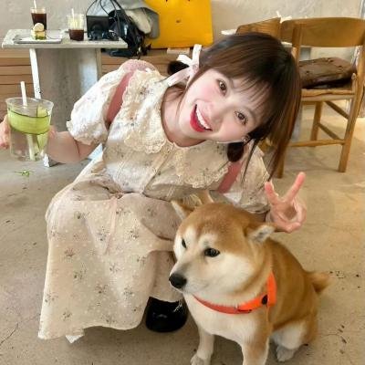 乱斗夫妻